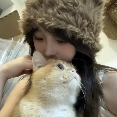 赖猫的狮子倒影