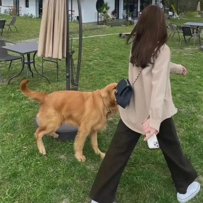 肇事逃逸